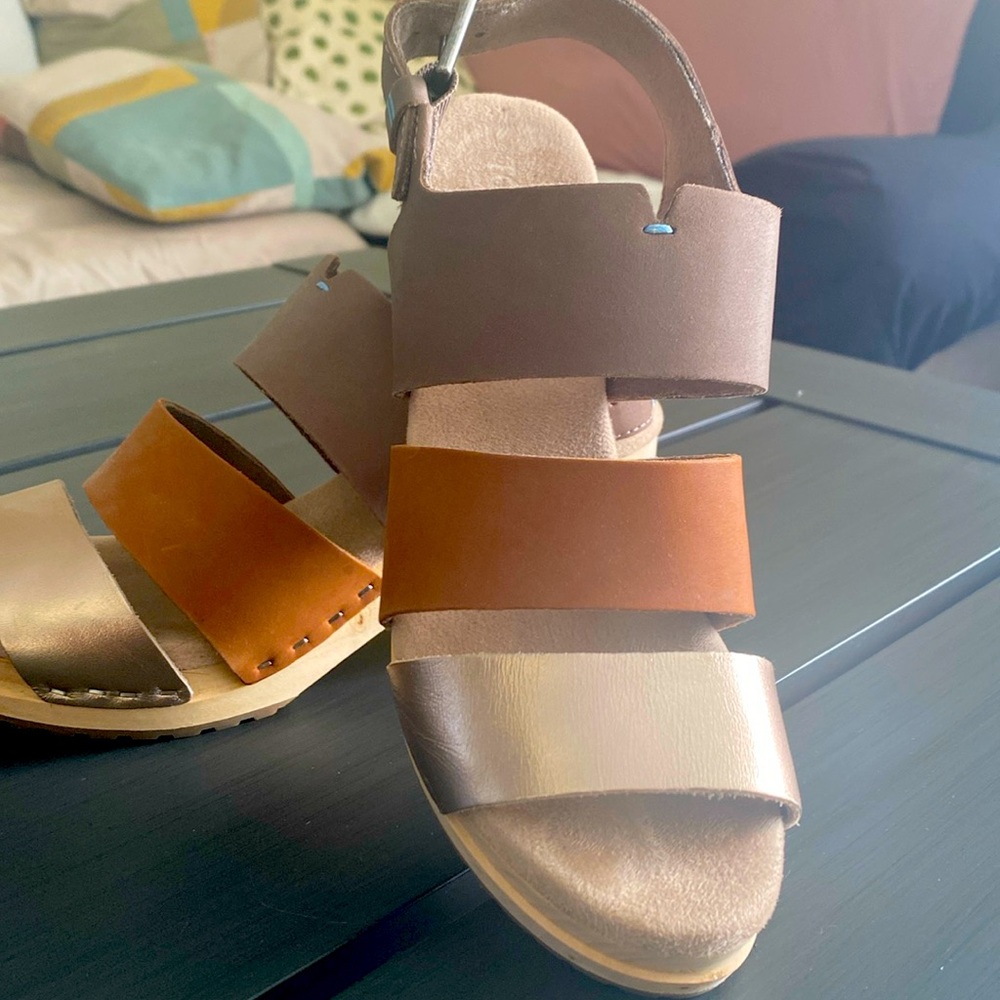 Toms new without tag